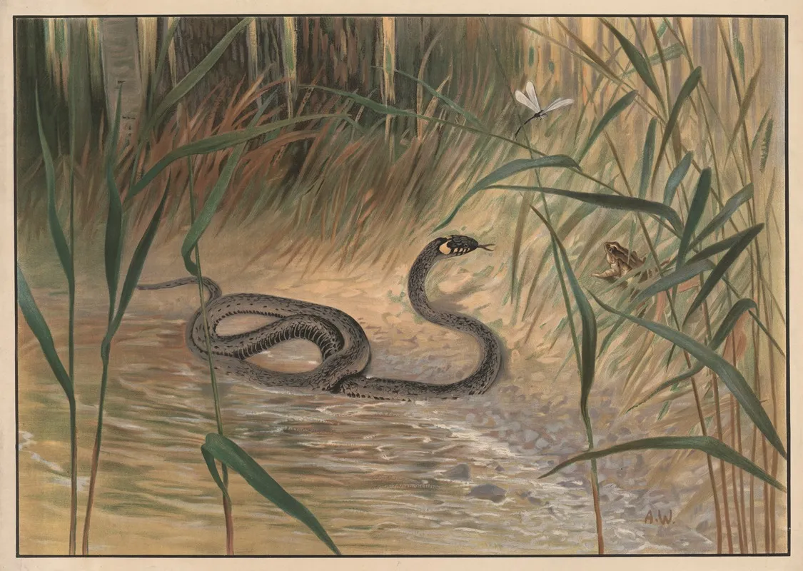 Snake Wall Art by Alfred Weczerzick - High-Resolution Digital Print