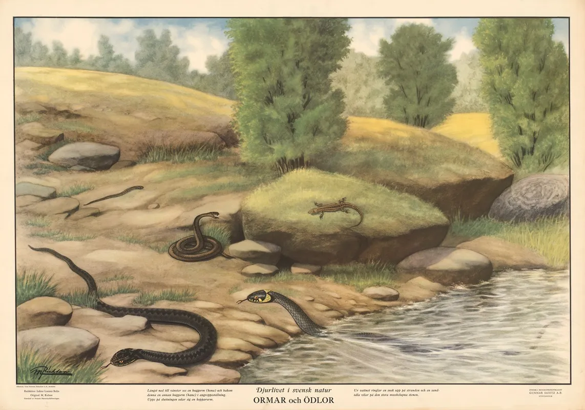 Snakes And Lizards Wall Art by Max Richter - High-Resolution Digital Print