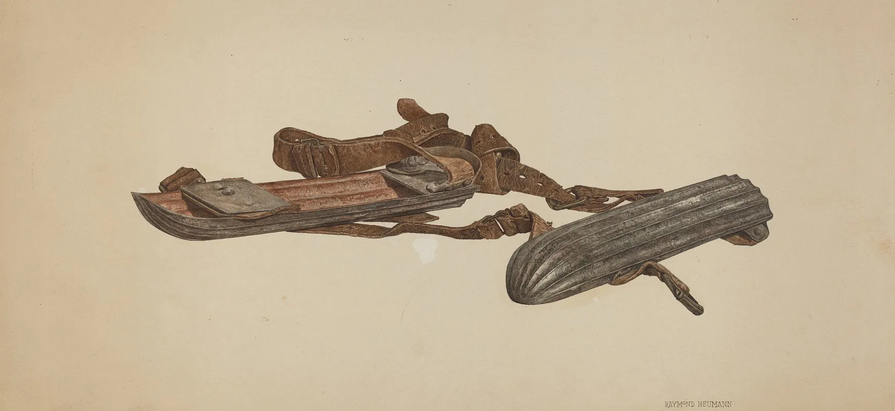 Snow Skates