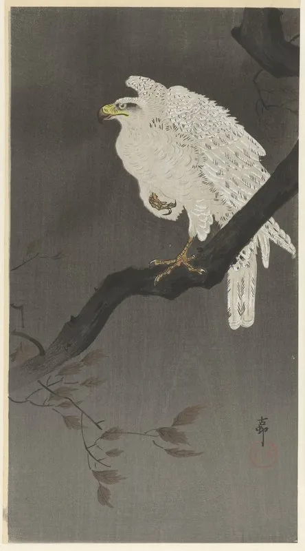 Snowy Eagle On A Tree Branch Wall Art by Ohara Koson - High-Resolution Digital Print