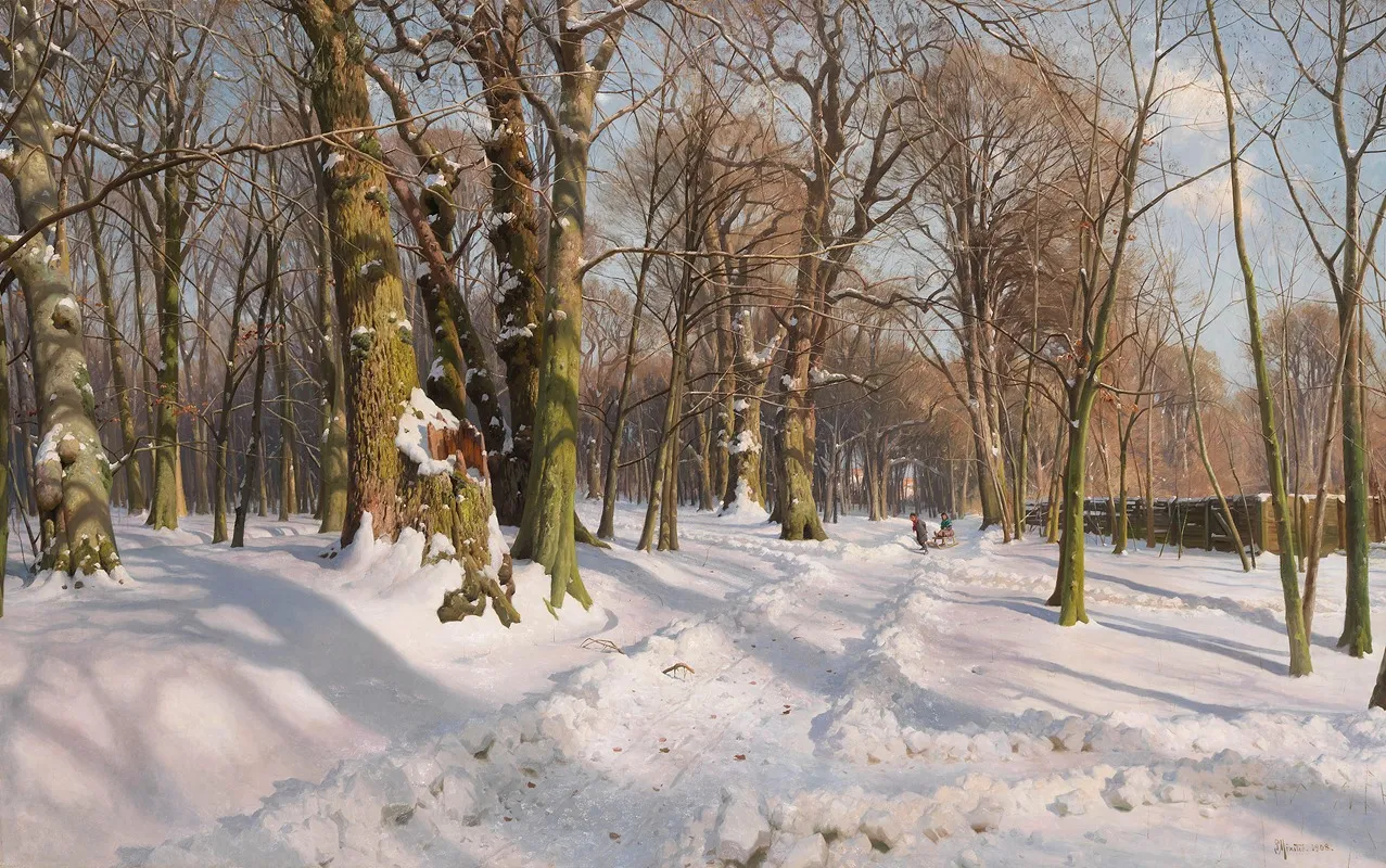 Snowy Forest Path In Sunlight