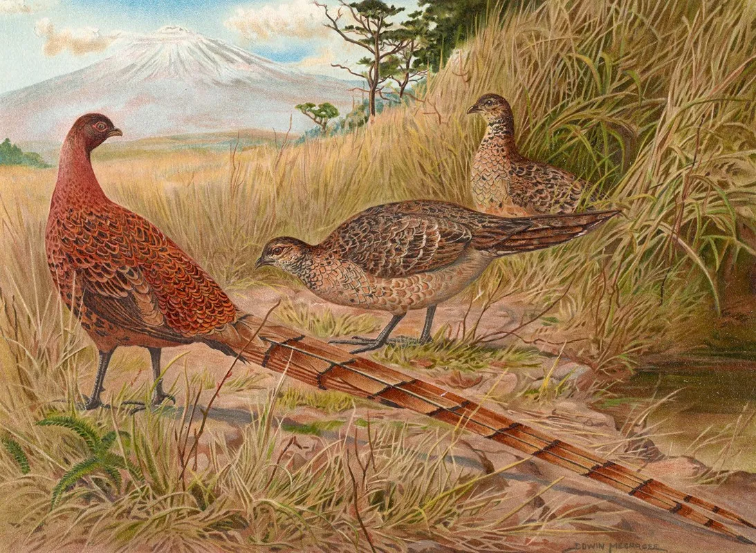 Soemmerrings Copper Pheasant Wall Art by Edwin Megargee - High-Resolution Digital Print
