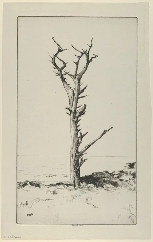 Solitude 5