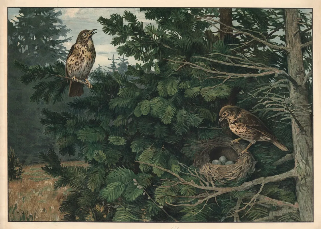 Song Thrush Wall Art by Hans Schmidt - High-Resolution Digital Print