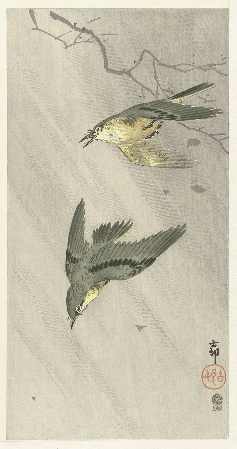 Songbirds In Rain