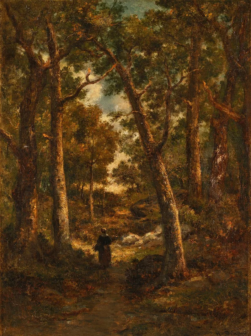 Sous Bois Fagotiere De Dos