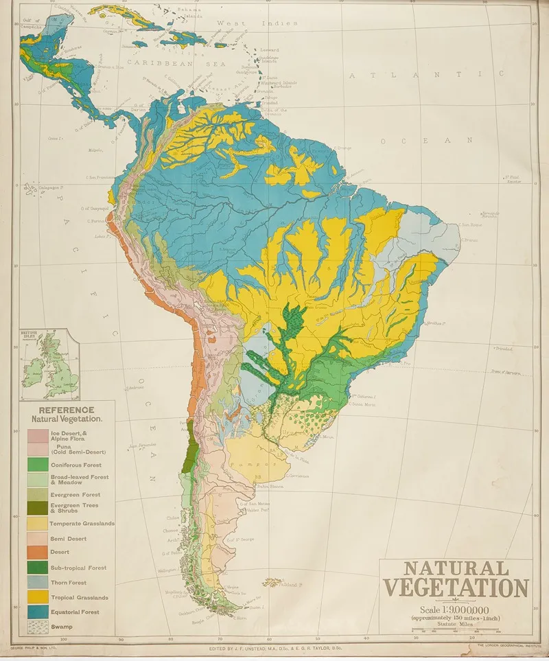South America Natural Vegetation