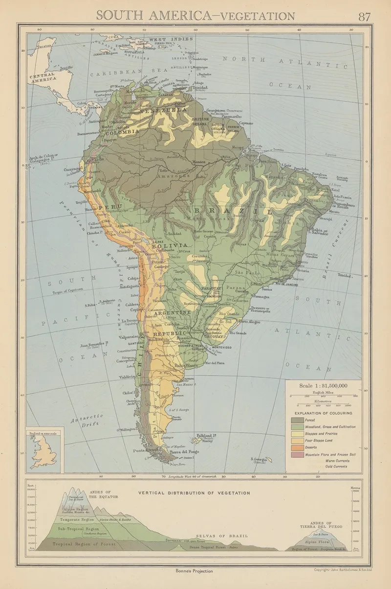 South America Vegetation Wall Art by John George Bartholomew - High-Resolution Digital Print