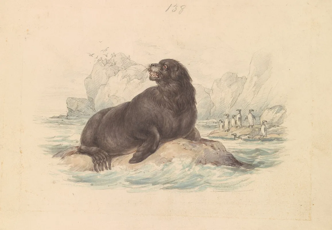 South American Sea Lion 2 Wall Art by James Stewart - High-Resolution Digital Print