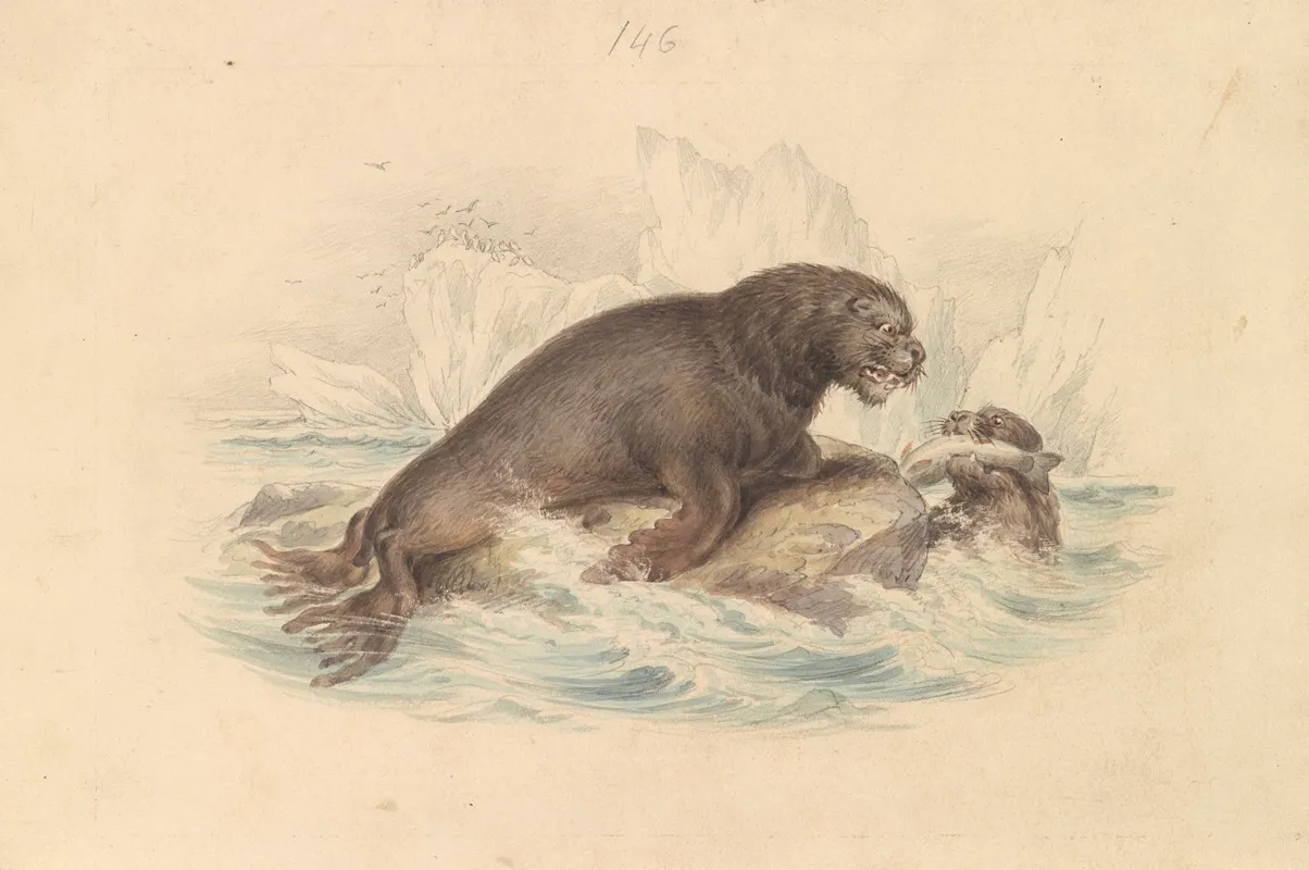 South American Sea Lion Wall Art by James Stewart - High-Resolution Digital Print