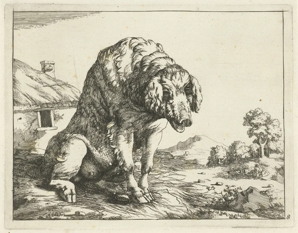 Sow Sitting On Hind Legs Wall Art by Marcus de Bye - High-Resolution Digital Print