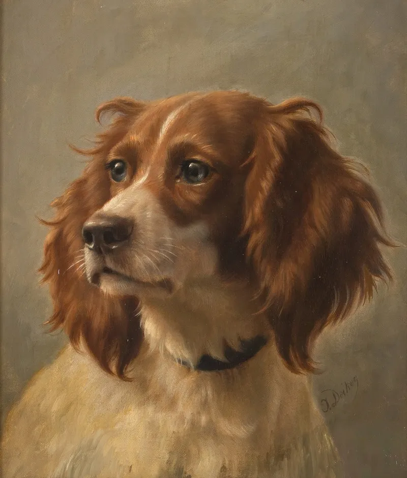 Spaniel Coloured Brown White Wall Art by Johannes Christian Deiker - High-Resolution Digital Print