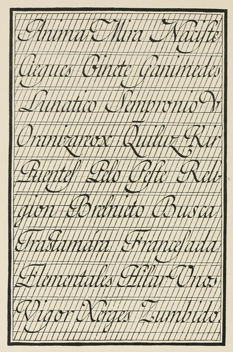 Spanish Script Wall Art by Frank Chouteau Brown - High-Resolution Digital Print