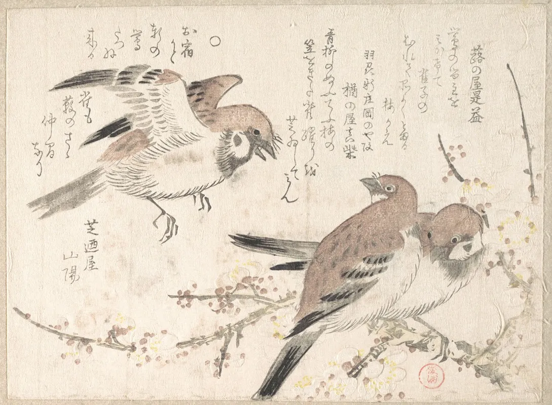 Sparrows And Plum Blossoms