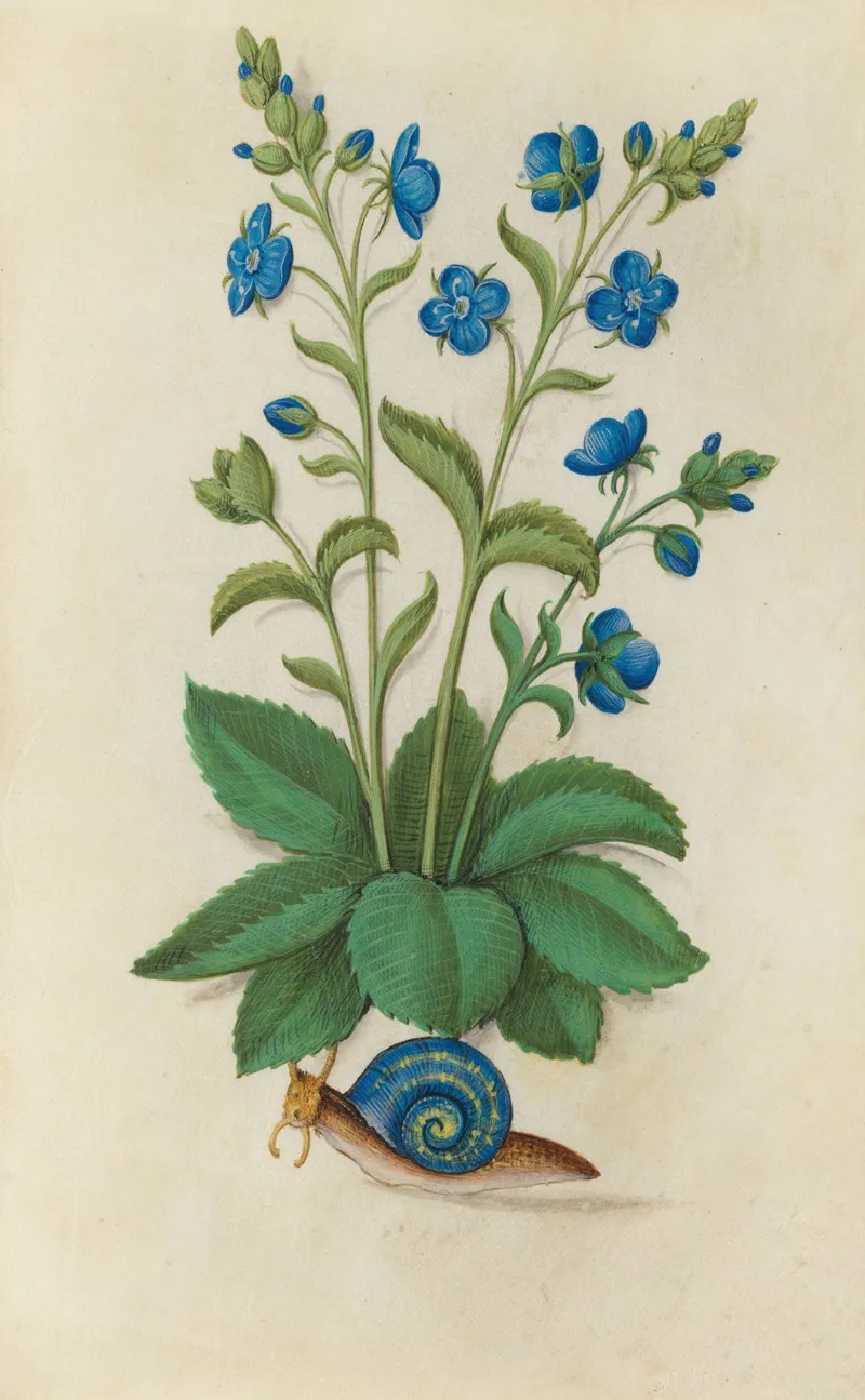 Speedwell Veronica Chamaedrys With A Grapevine Snail In A Blue Shell Wall Art by Master of Claude de France - High-Resolution Digital Print