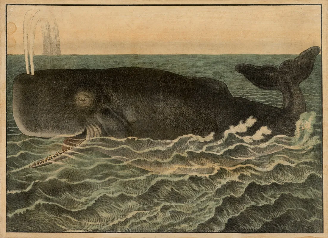 Sperm Whale Wall Art by Emil Sachsse - High-Resolution Digital Print