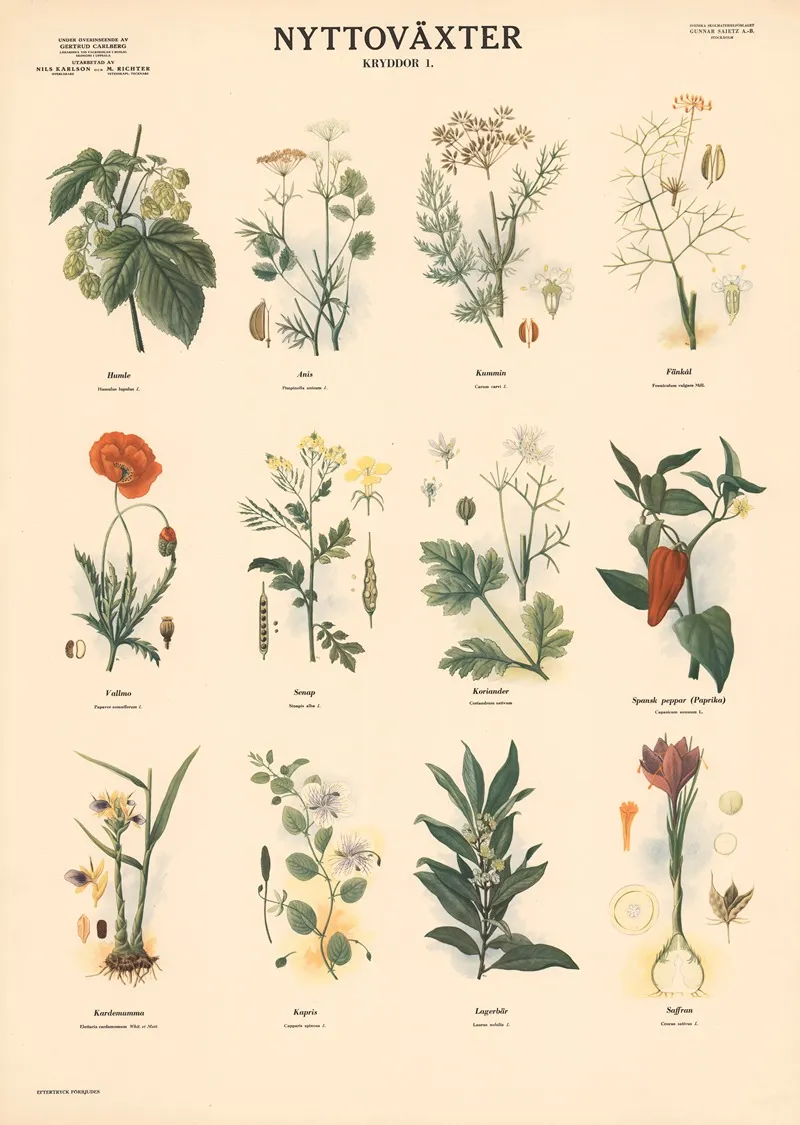 Spices 1 Wall Art by Max Richter - High-Resolution Digital Print