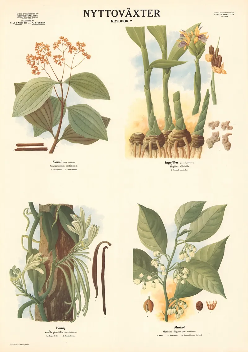 Spices 2 Wall Art by Max Richter - High-Resolution Digital Print