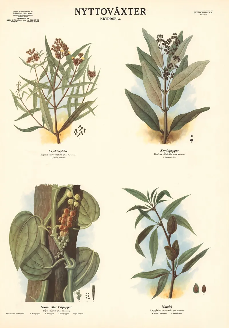 Spices 3 Wall Art by Max Richter - High-Resolution Digital Print