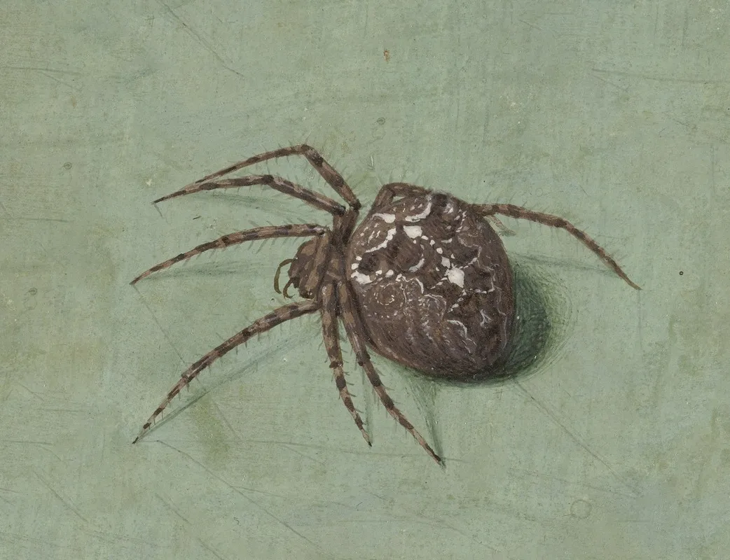 Spin Wall Art by Jan Augustin van der Goes - High-Resolution Digital Print