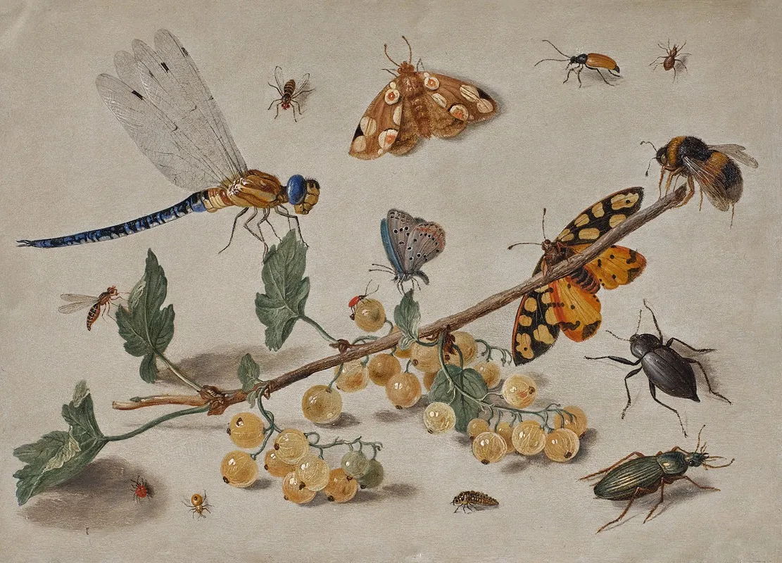 Sprig Of Gooseberries With A Dragonfly Butterflies Beetles And A Bee Wall Art by Jan Van Kessel The Elder - High-Resolution Digital Print