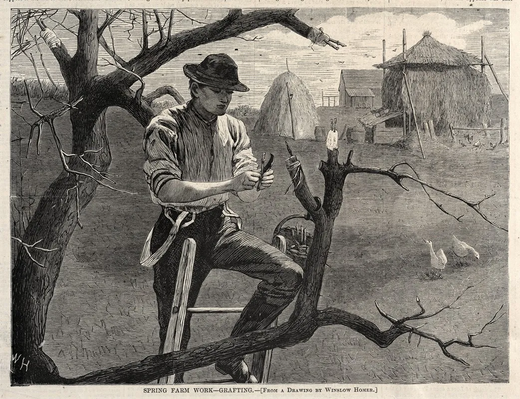 Spring Farm Work Grafting Wall Art by Winslow Homer - High-Resolution Digital Print
