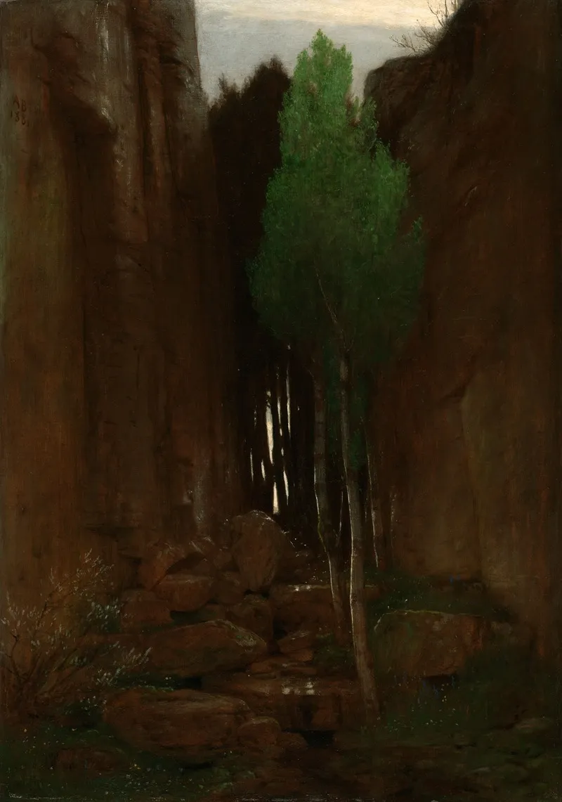 Spring In A Narrow Gorge Quell In Einer Felsschluct