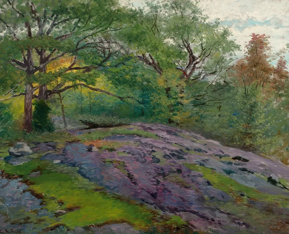 Spring Landscape 10