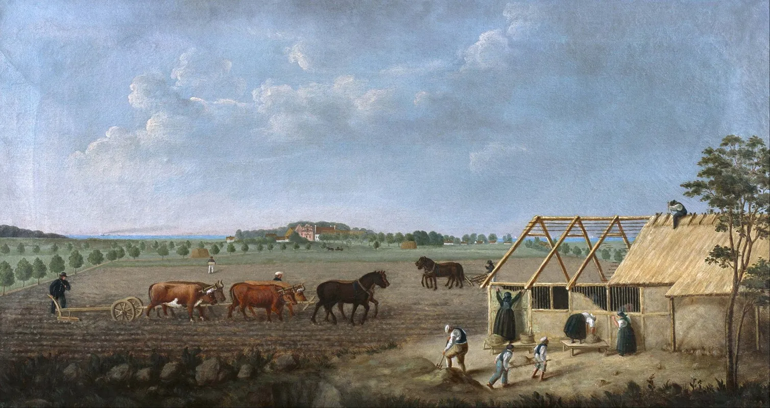 Landscape