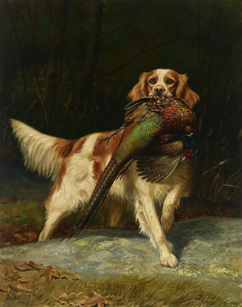 Springer Spaniel With Pheasant Wall Art by Alexander Pope - High-Resolution Digital Print