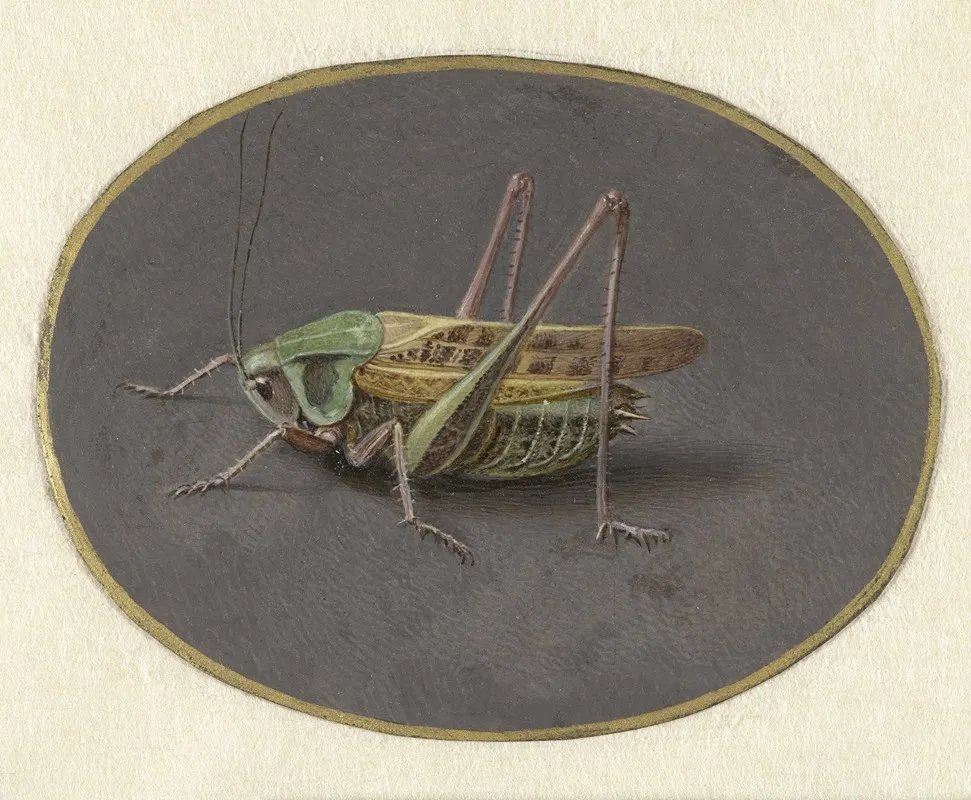 Sprinkhaan 4 Wall Art by Jan Augustin van der Goes - High-Resolution Digital Print