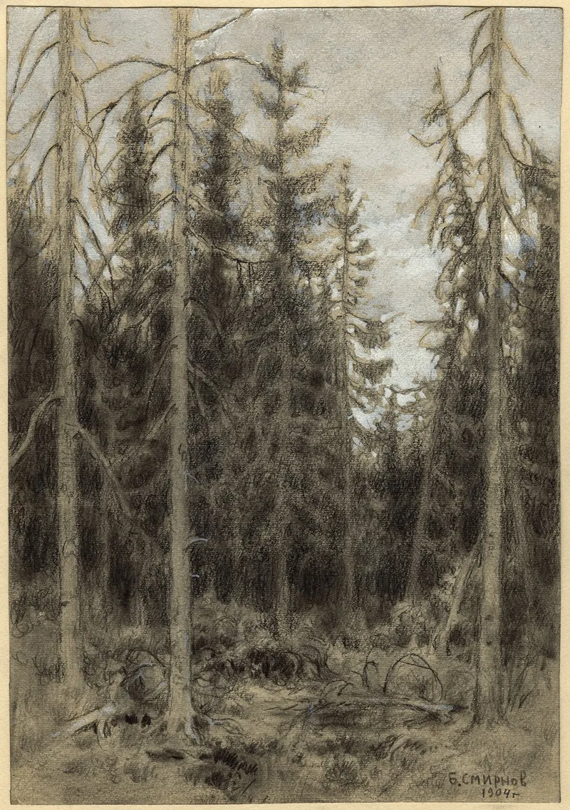 Spruce Taiga Near Irkutsk