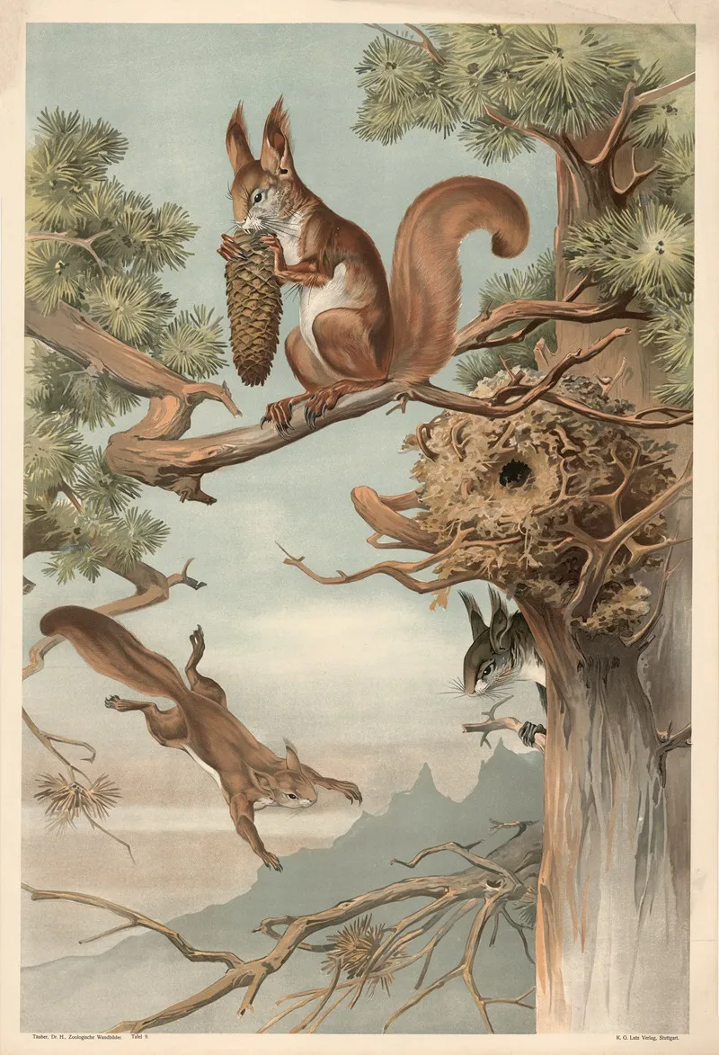 Squirrel Wall Art by Alfred Fiedler - High-Resolution Digital Print
