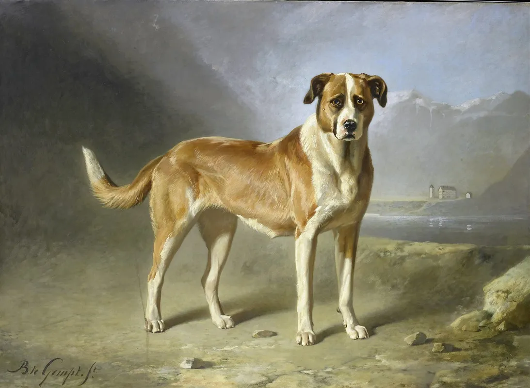 St Bernard Dog Wall Art by Bernard te Gempt - High-Resolution Digital Print