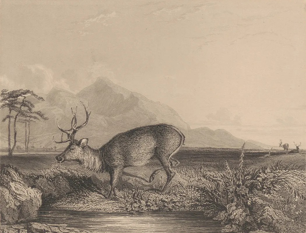 Stag At The Edge Of A Pond Wall Art by Newton Limbird Smith Fielding - High-Resolution Digital Print