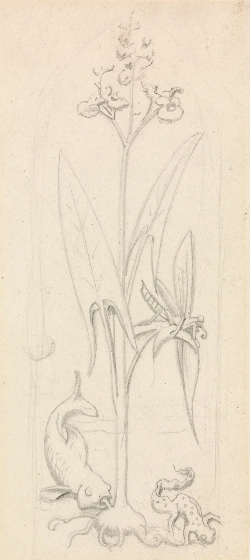 Stained Glass Study Water Plant With Grasshoper Fish And Newt 2 Wall Art by Sir John Everett Millais - High-Resolution Digital Print