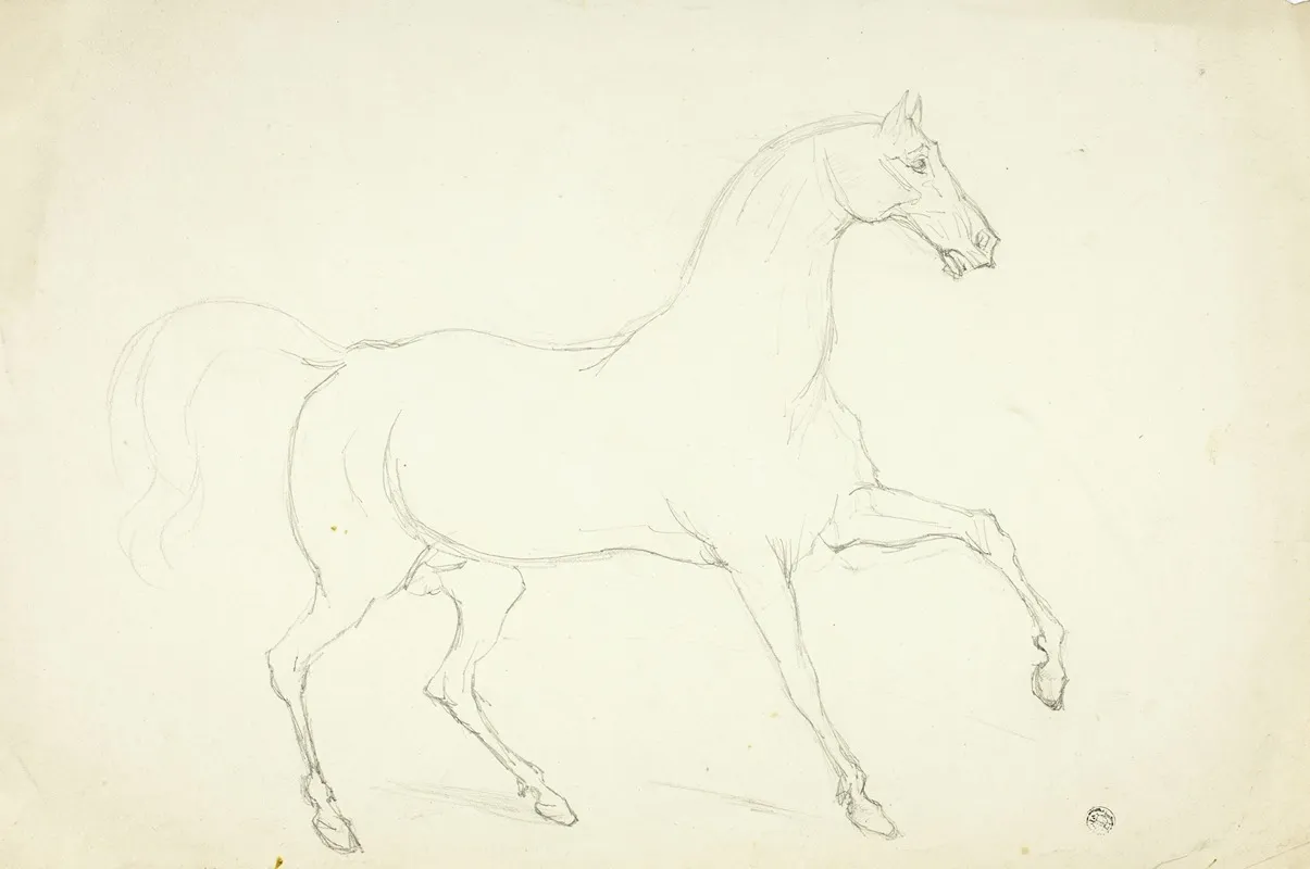 Stallion
