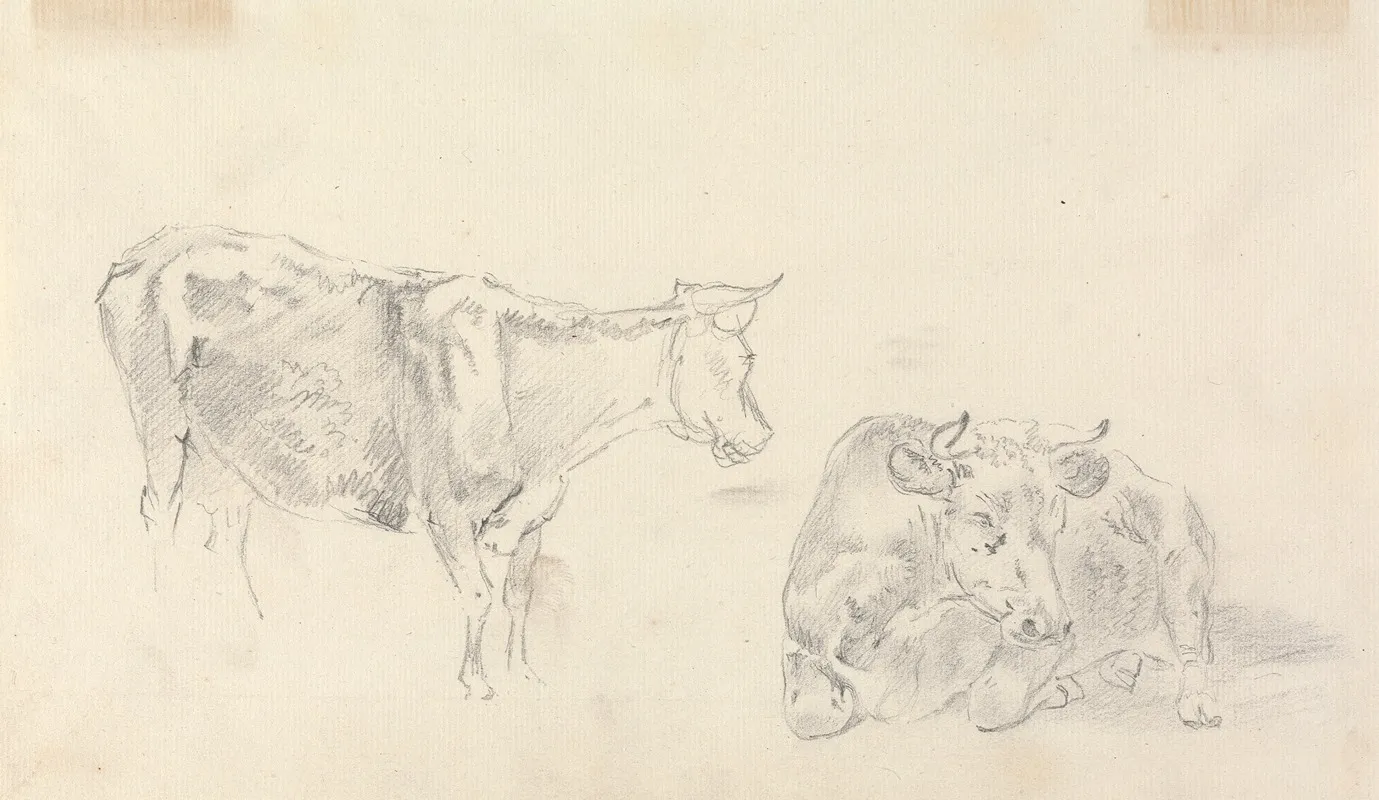 Standing Cow Facing Right And A Cow Lying Down