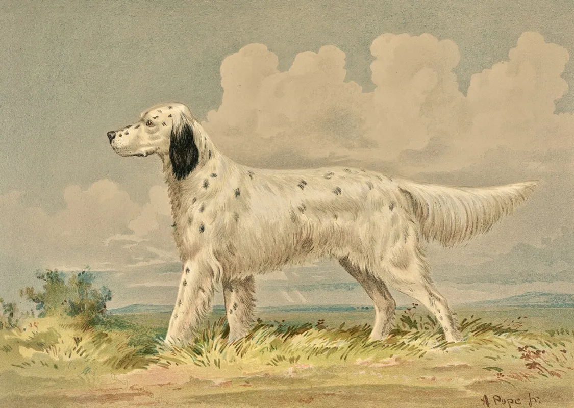 Standing English Setter Facing Left Wall Art by Alexander Pope Jr. - High-Resolution Digital Print