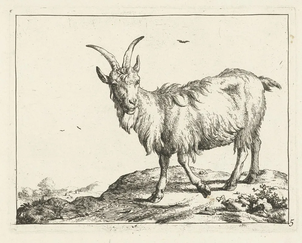 Standing Goat From The Front Wall Art by Marcus de Bye - High-Resolution Digital Print