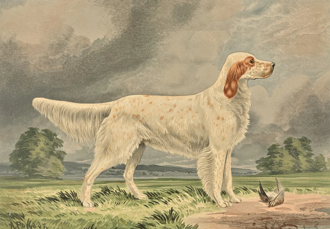 Standing Irish Red And White Setter Facing Right Bird At Feet Wall Art by Alexander Pope Jr. - High-Resolution Digital Print