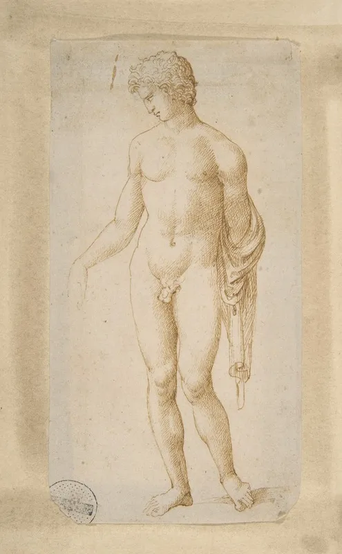 Standing Male Nude 7