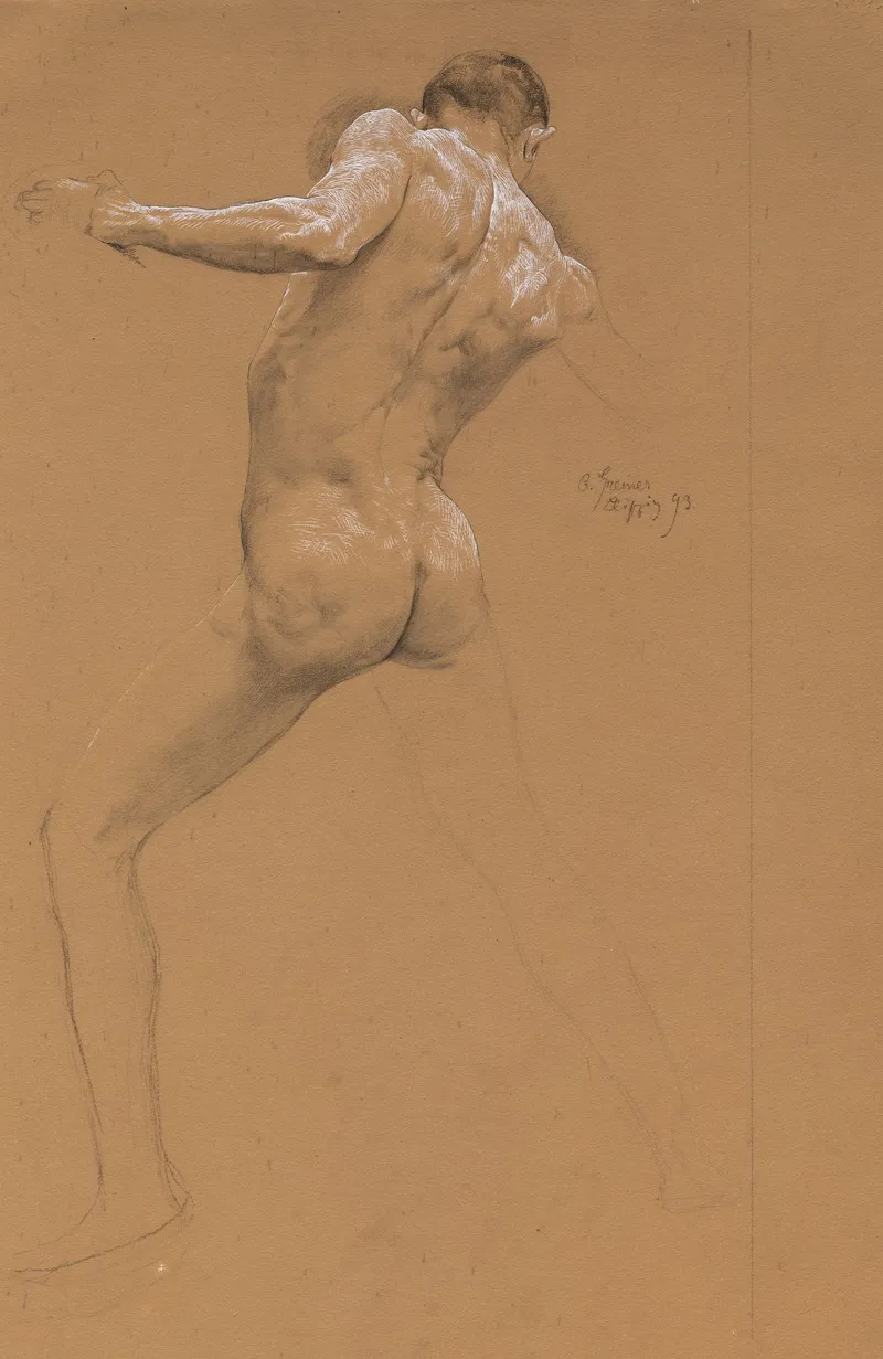 Standing Male Nude From Behind
