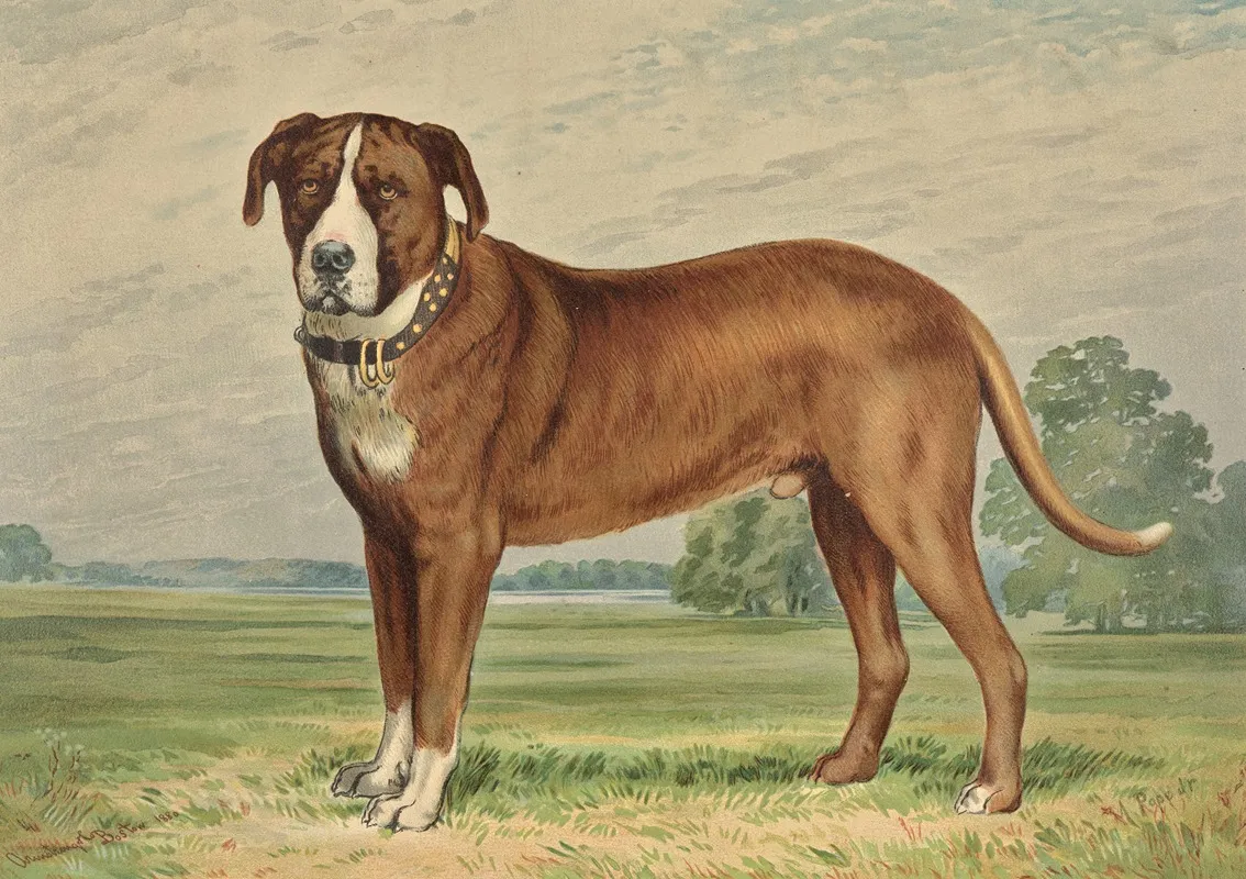 Standing Mountain Dog Facing Left Wall Art by Alexander Pope Jr. - High-Resolution Digital Print