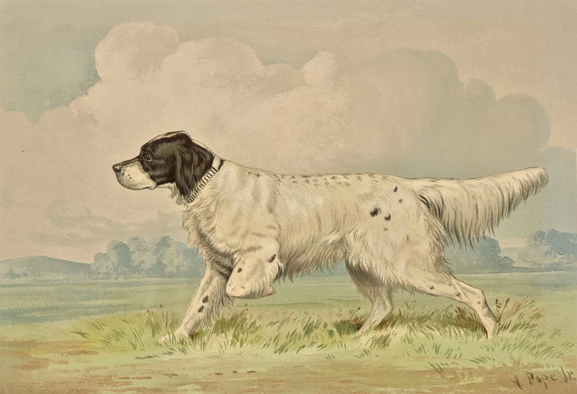 Standing Spotted Retriever Pointing Left Wall Art by Alexander Pope Jr. - High-Resolution Digital Print