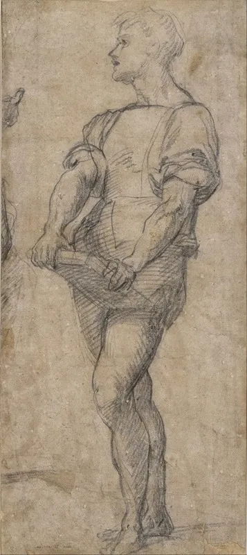 Standing Youth Holding A Book Wall Art by Andrea del Sarto - High-Resolution Digital Print