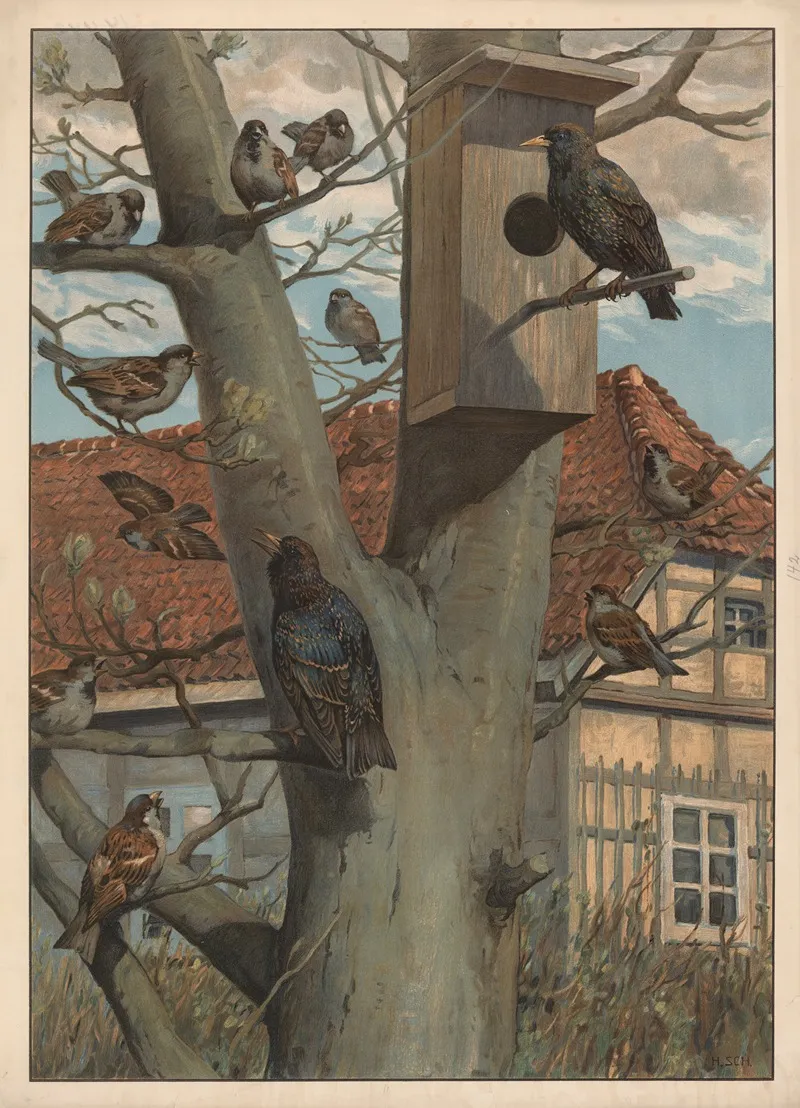 Starling And House Bunting Wall Art by Hans Schmidt - High-Resolution Digital Print