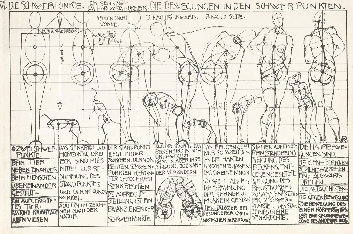 Statik Und Dynamik Des Menschlichen Korpers Pl 06