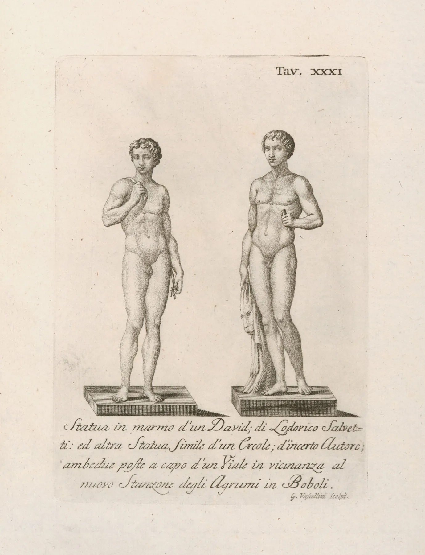Statua In Marmo Dun David Di Lodovico Salvetti Wall Art by Gaetano Vascellini - High-Resolution Digital Print
