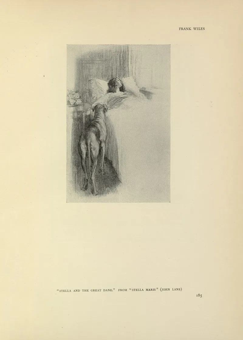Stella And The Great Dane Stella Maris Wall Art by Frank Wiles - High-Resolution Digital Print
